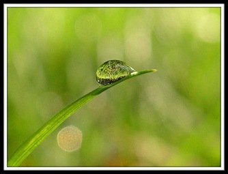 grass_green_water_5715_l